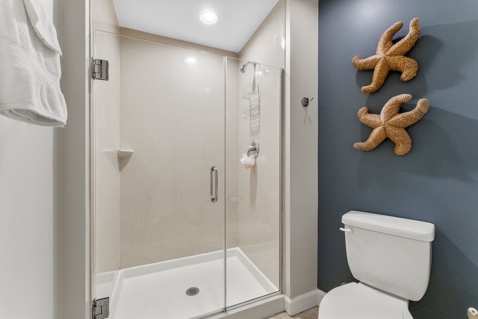 Master bathroom shower