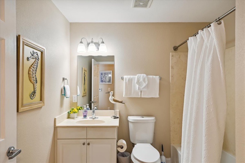 Guest bathroom with shower and tub combo