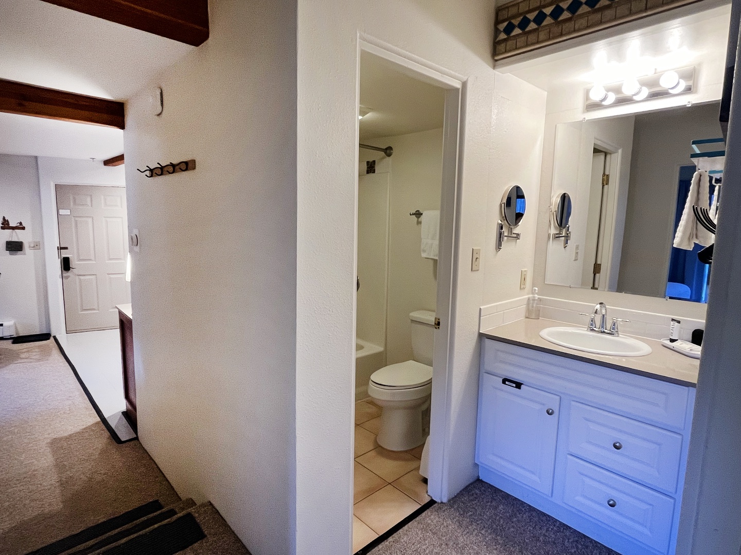 Hall bath and vanity into the hall