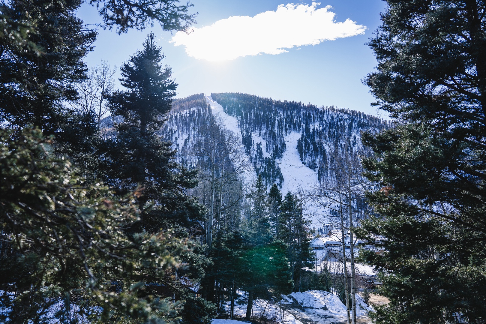 Snow-covered ski slopes viewed from the house