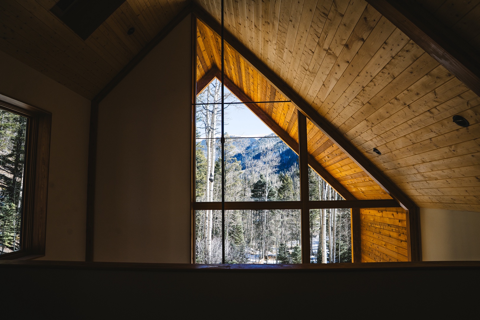 Loft life - you get to be in the canopy