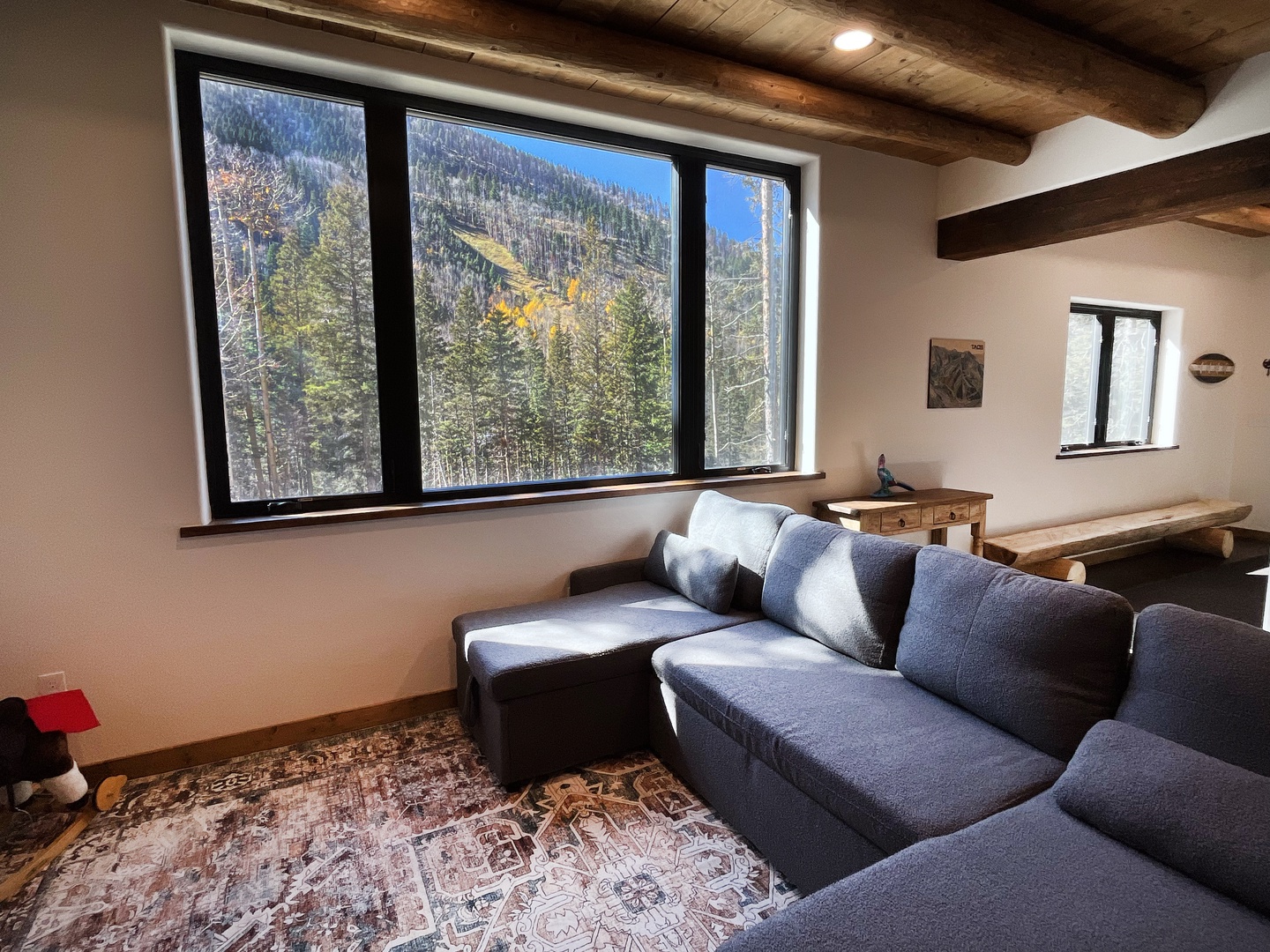 downstairs living area view