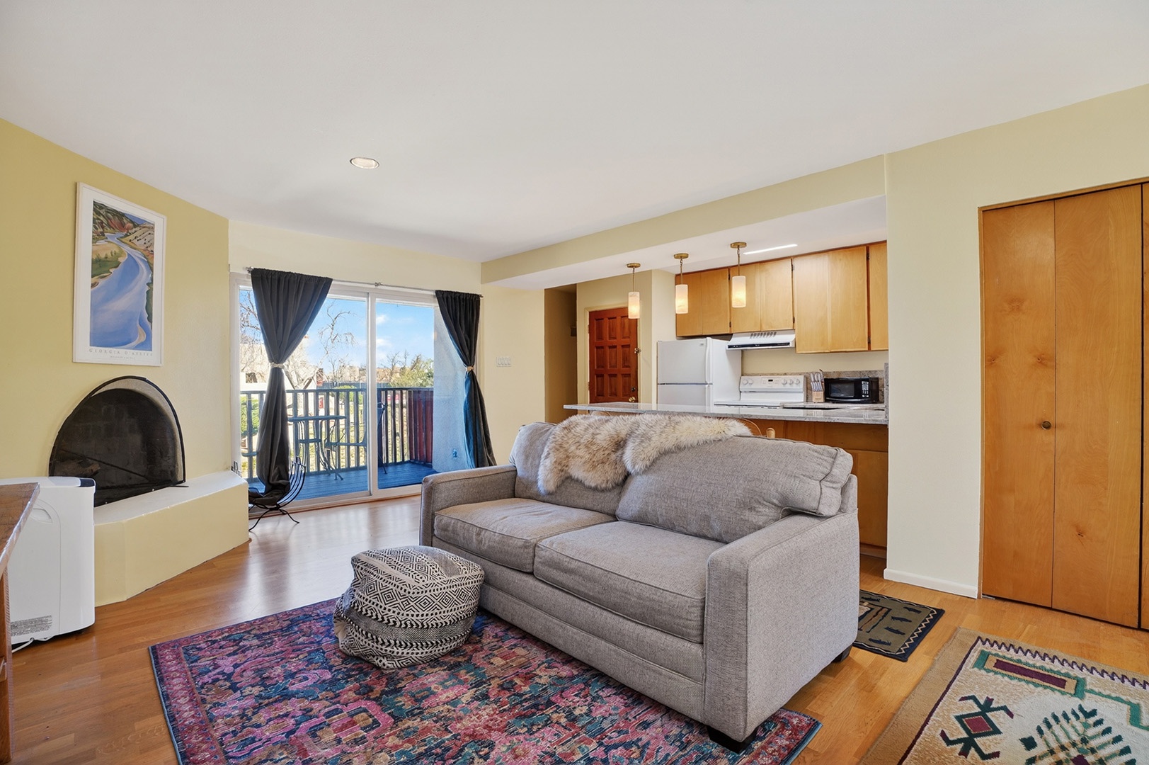 Living Area with pull out sofa sleeper