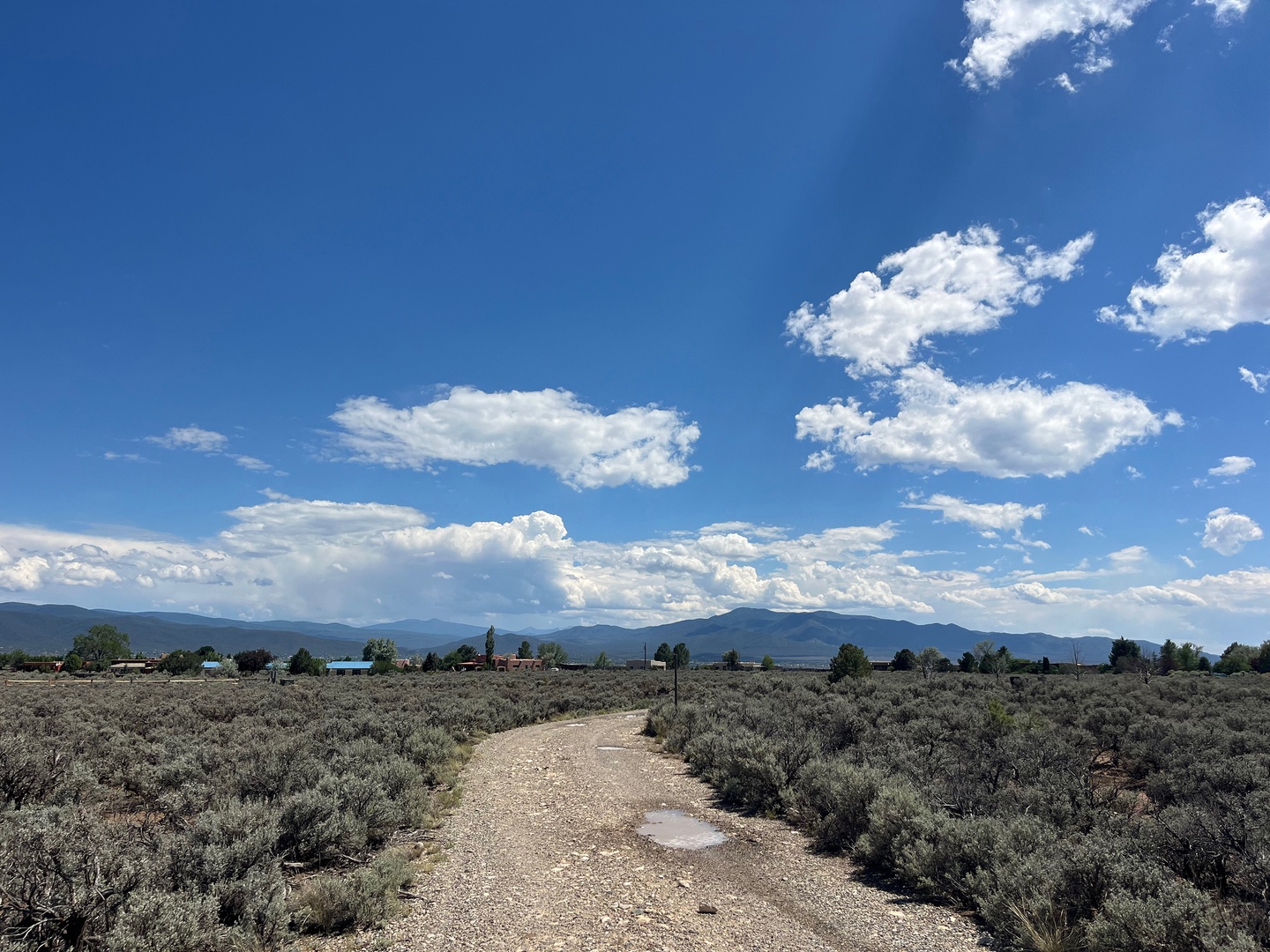 View from the driveway