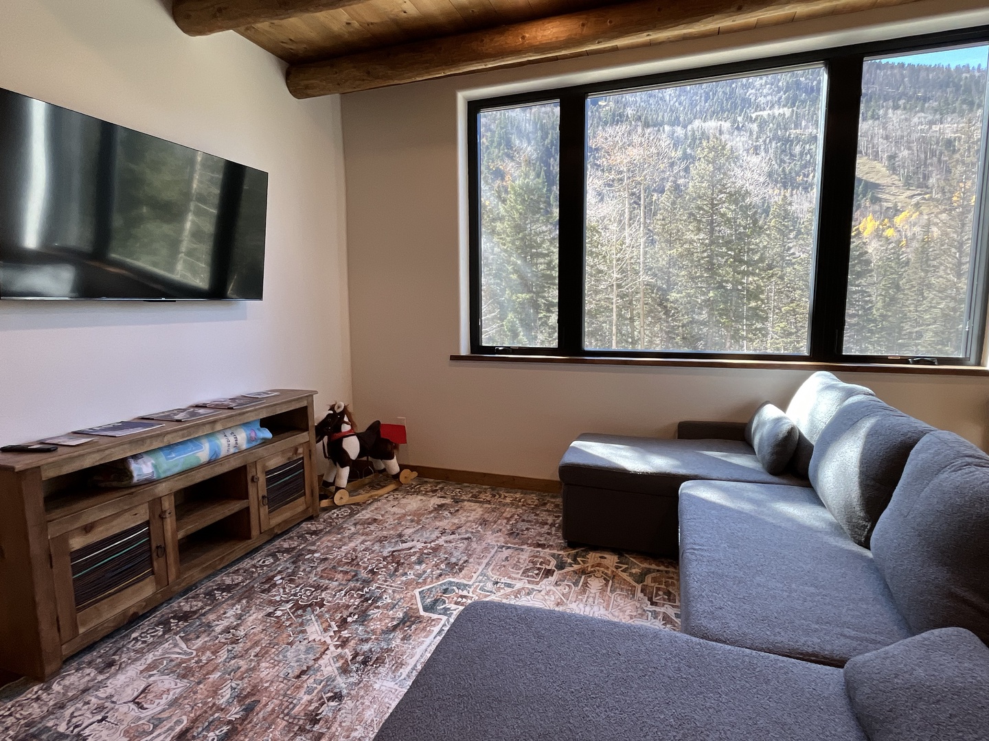 downstairs living area tv