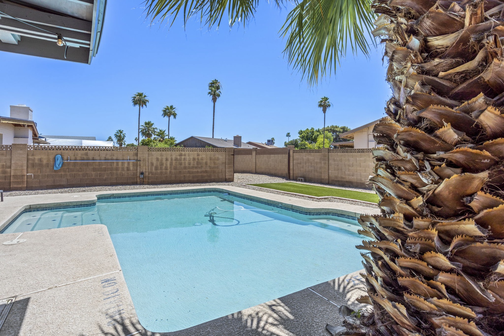 Backyard with sparkling pool (non-heated) and a putting green!