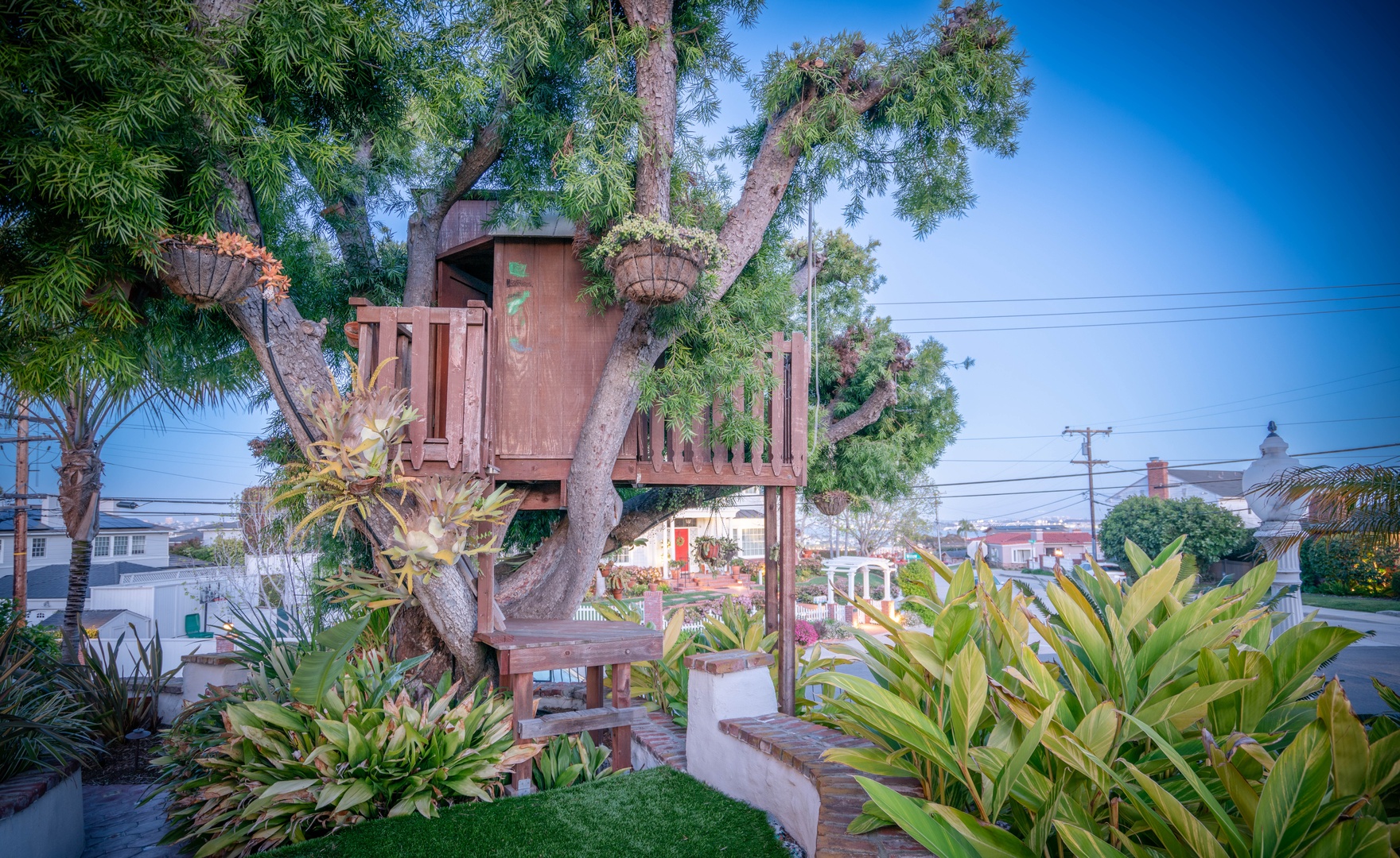 Tree House