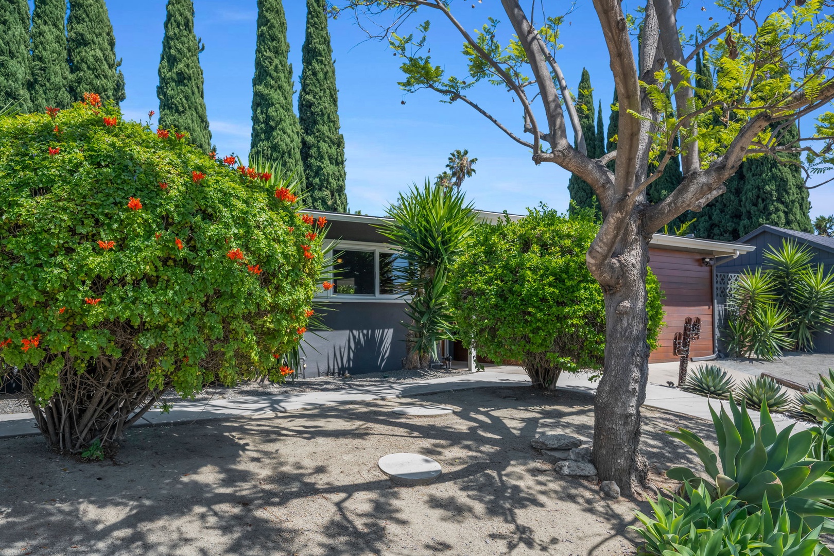 Mid-century modern home nestled among vibrant landscaping with towering cypress trees, native succulents, and colorful flowering bushes under sunny skies.