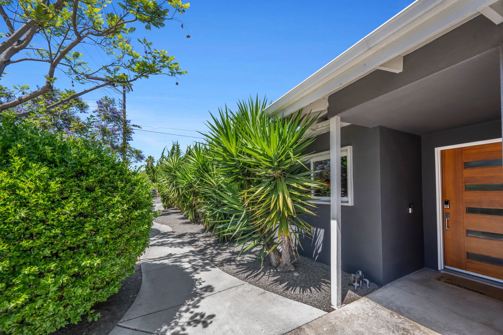 Mid-century modern home nestled among vibrant landscaping with towering cypress trees, native succulents, and colorful flowering bushes under sunny skies.