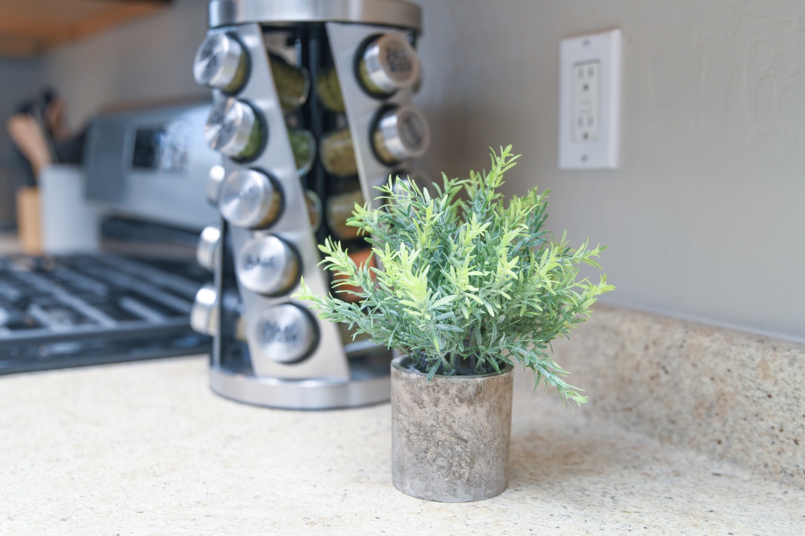 Photographer likes the plant focused, but the 20 complimentary spices is a must for cooking enthusiasts!