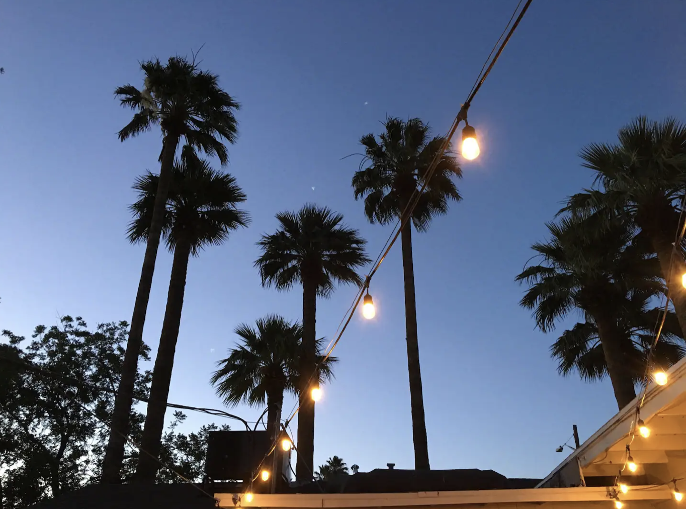 Look for the 8 palm trees in front of the house, and you'll know you're at the right place!