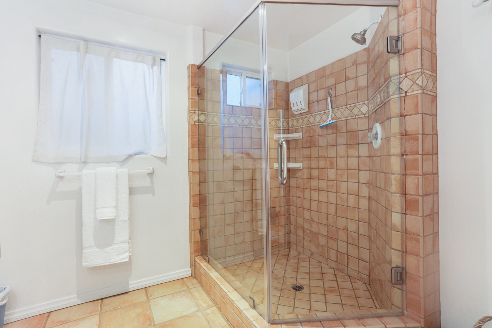 Large walk-in shower