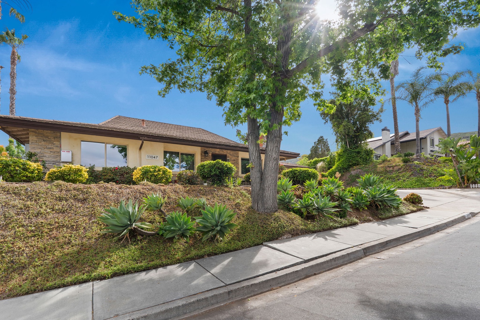 Beautiful single-story property nestled in a well-maintained residential neighborhood with mature landscaping and palm trees creating a welcoming arrival experience.