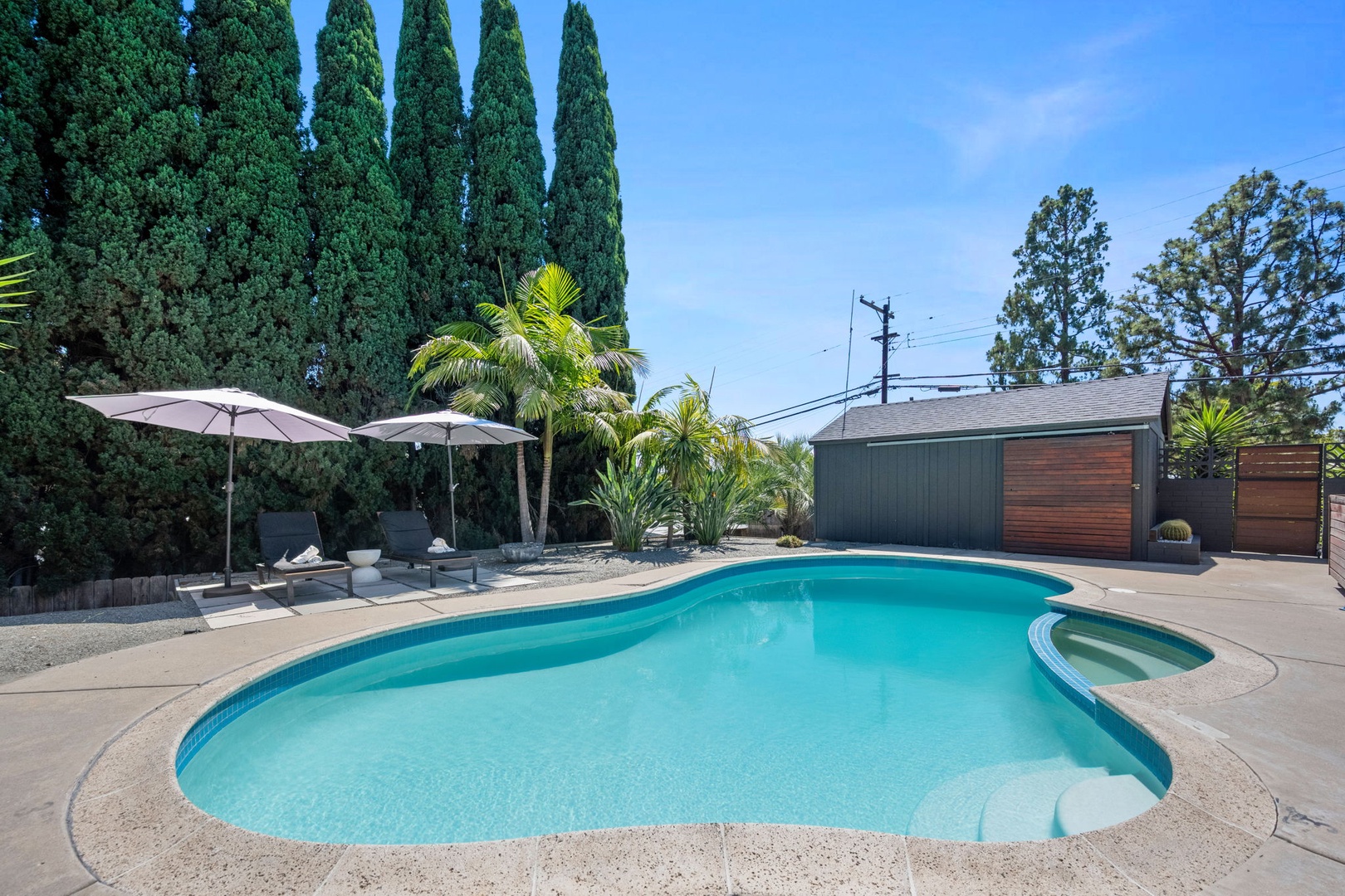 The home features a private outdoor pool and built-in spa surrounded by palm trees, sun loungers with umbrellas, and landscaped grounds—perfect for a sunny afternoon retreat.