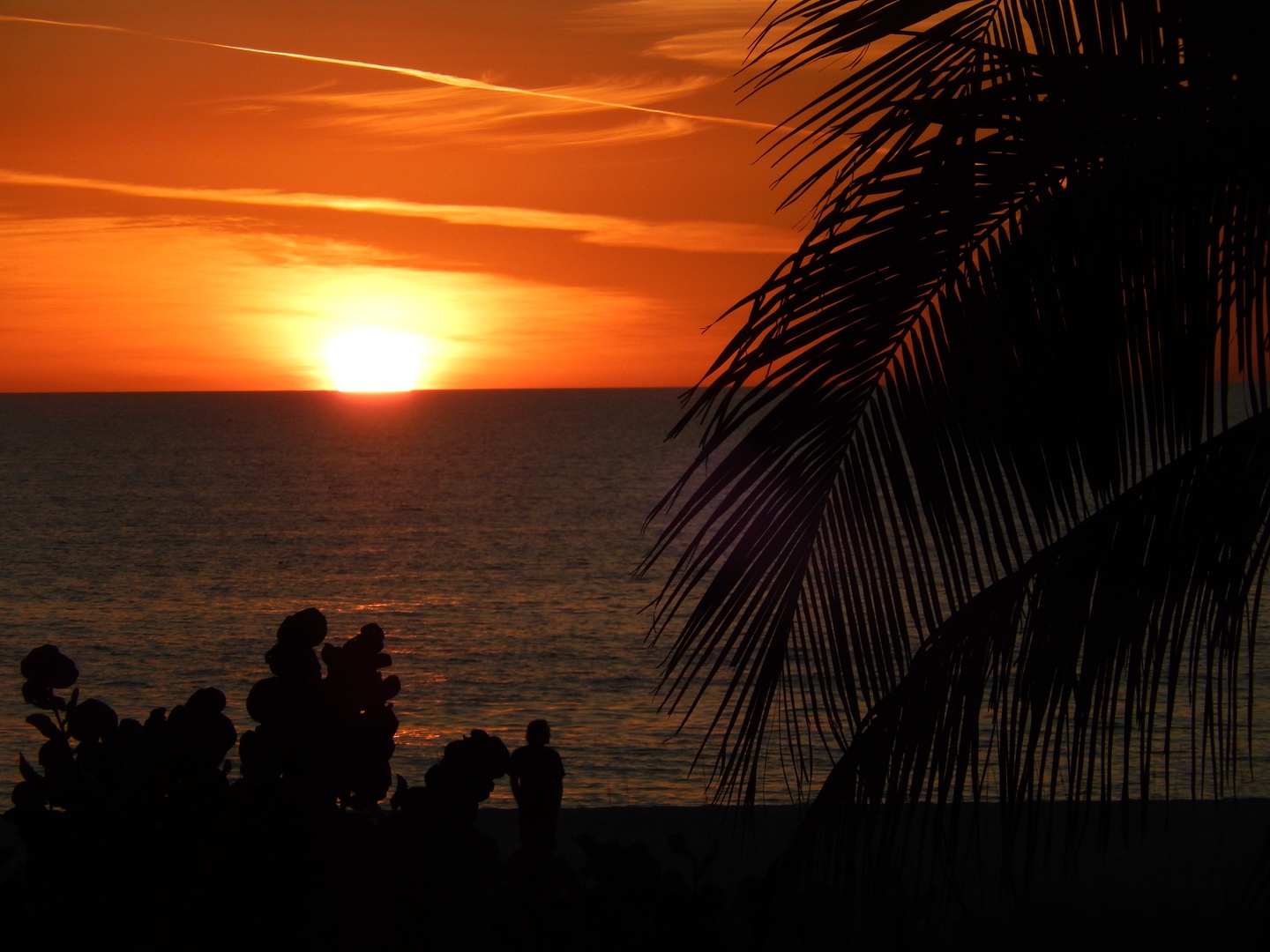 Palm Gables 110 - Sunset Memories