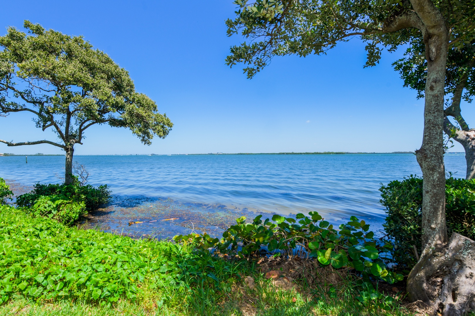 Bayfront Views