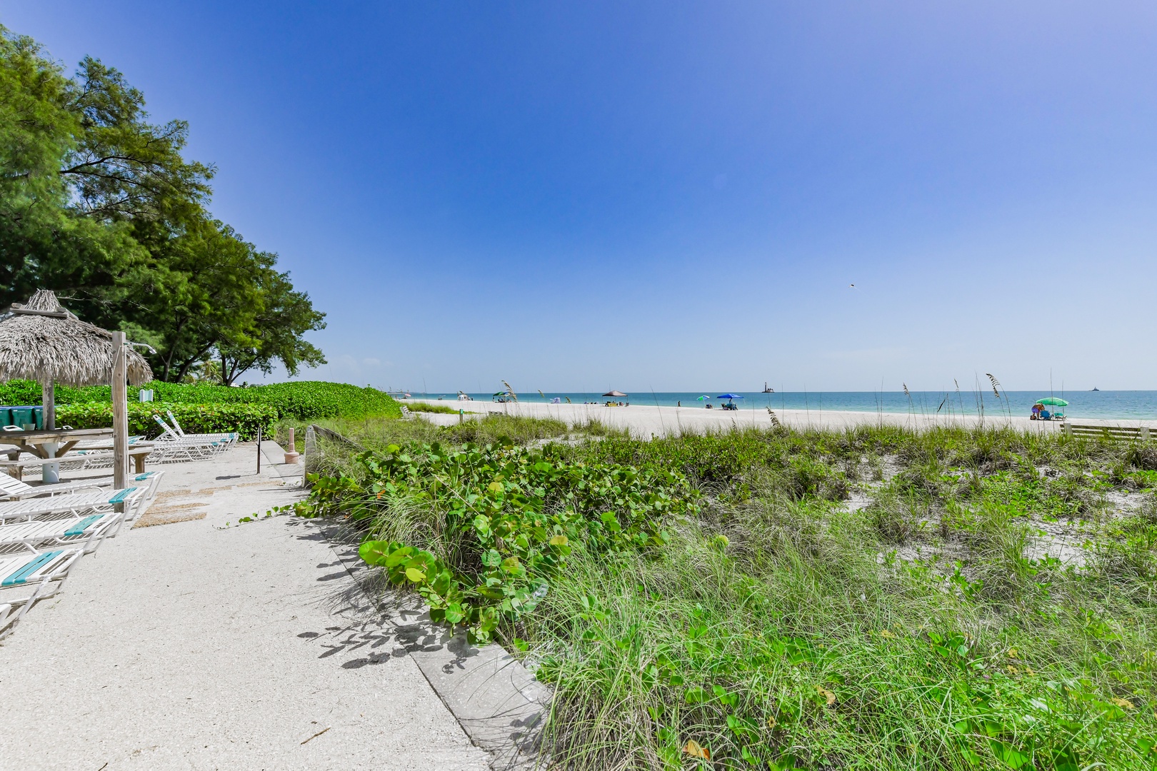 Beach View