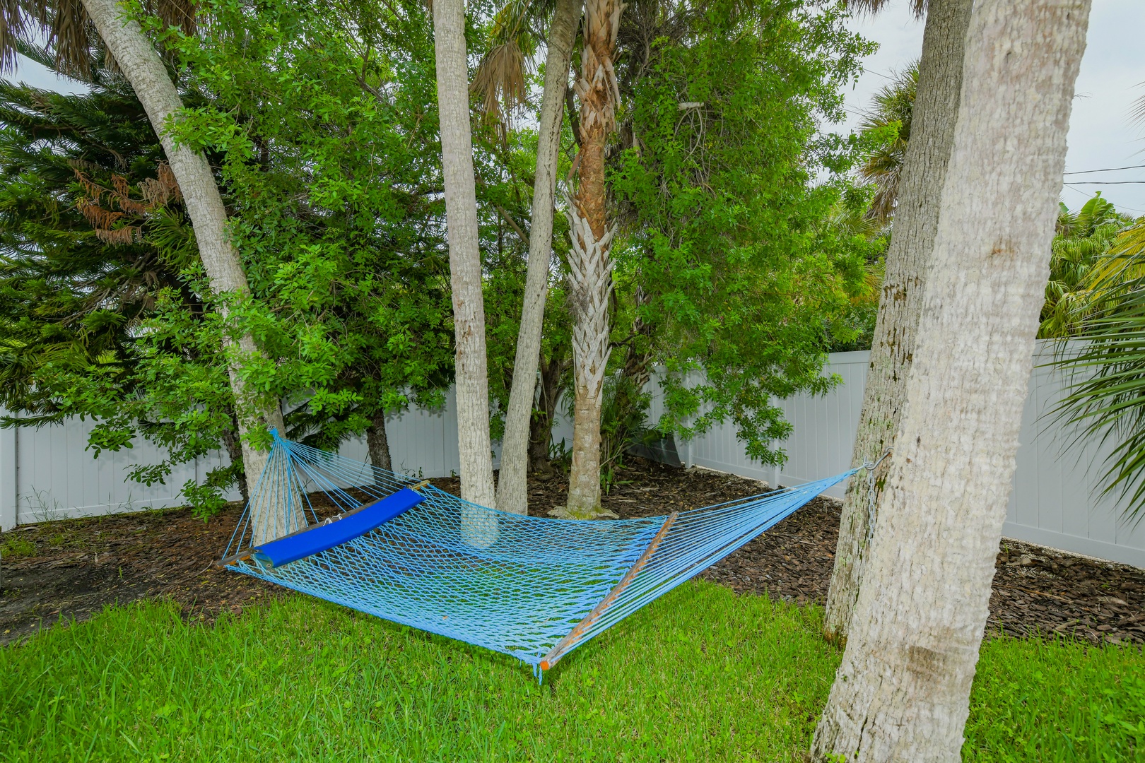 Hammock