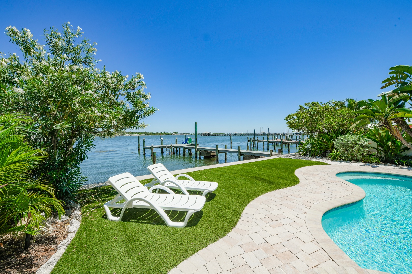 Backyard and Pool