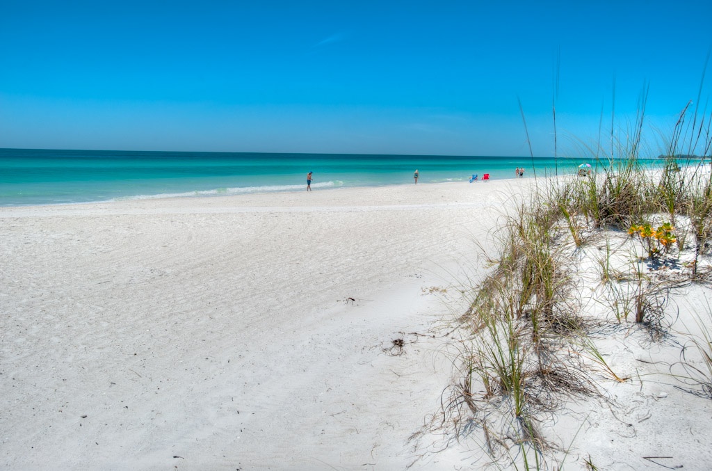 Beach View