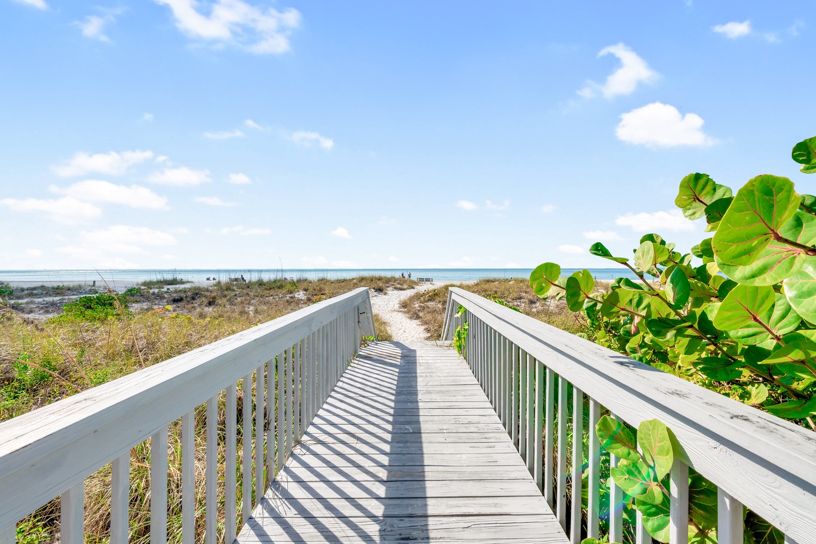 Path To Beach