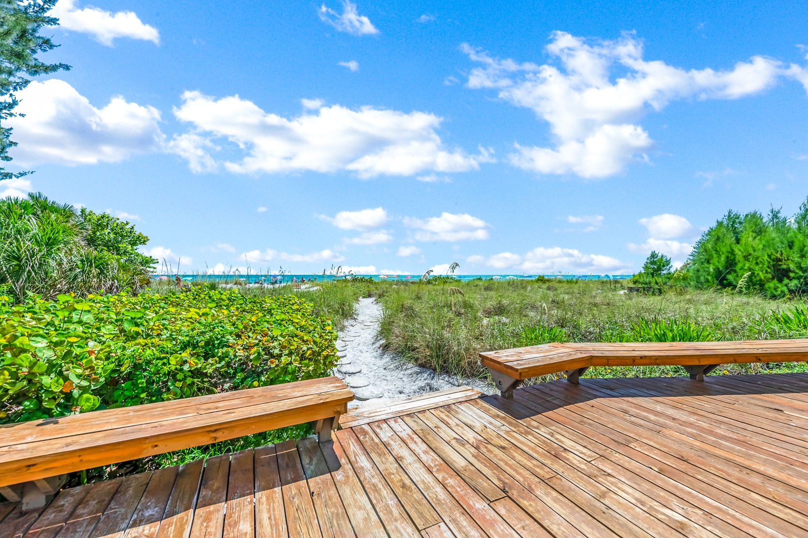 Direct Beachfront Home