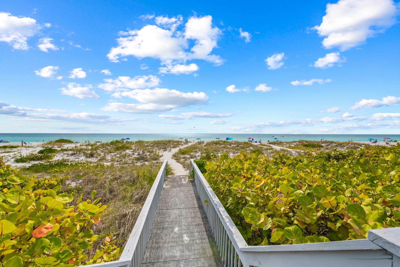 Path To Beach