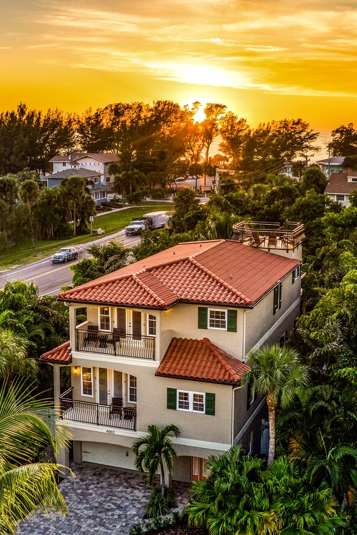 Its A Jungle Out There - By Anna Maria Island Accommodations