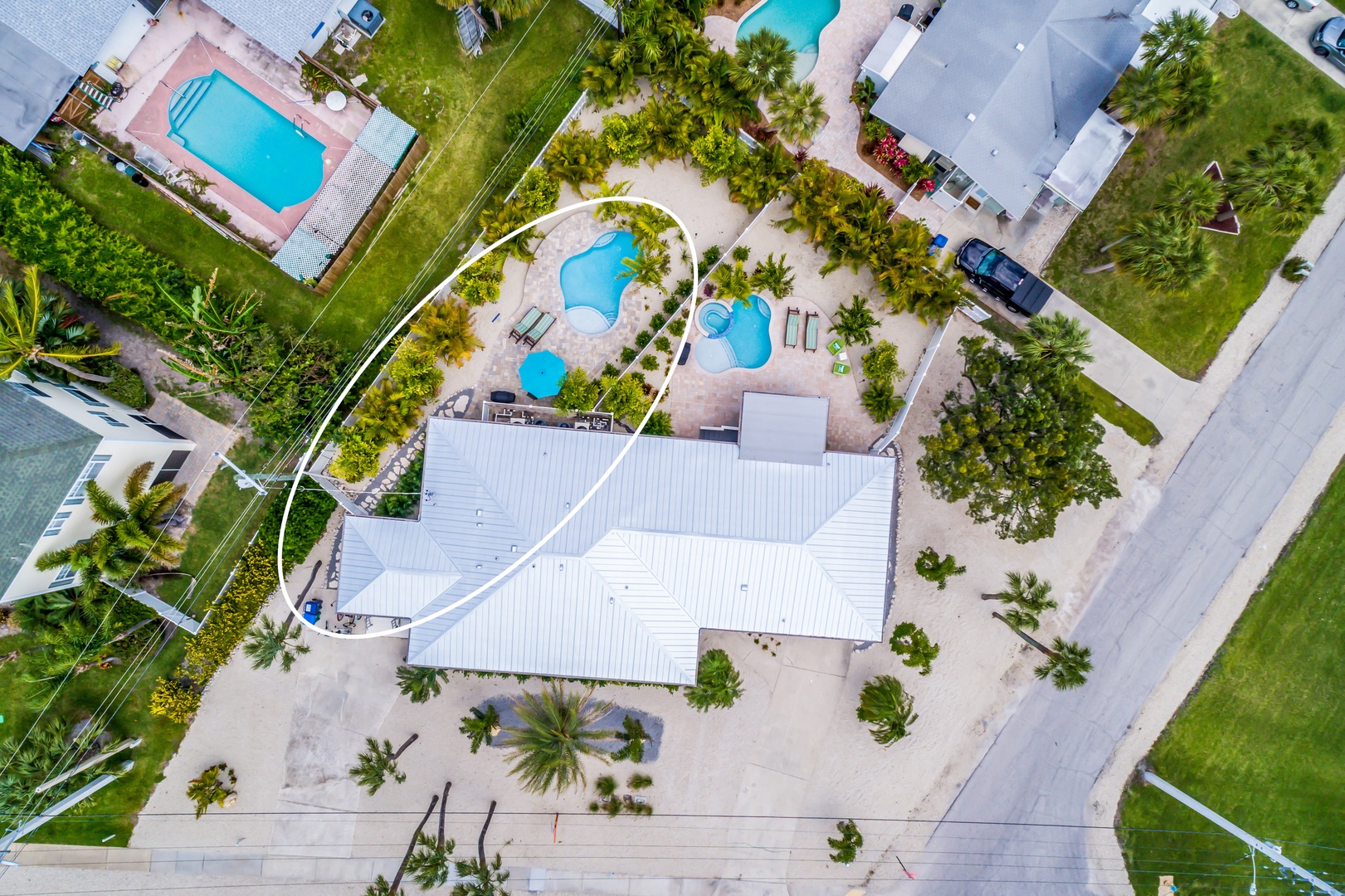 Queen Palm by Anna Maria Island Accommodations