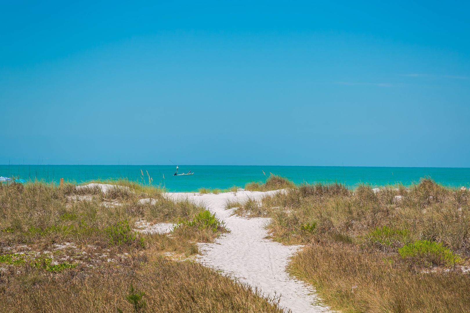 Beach View