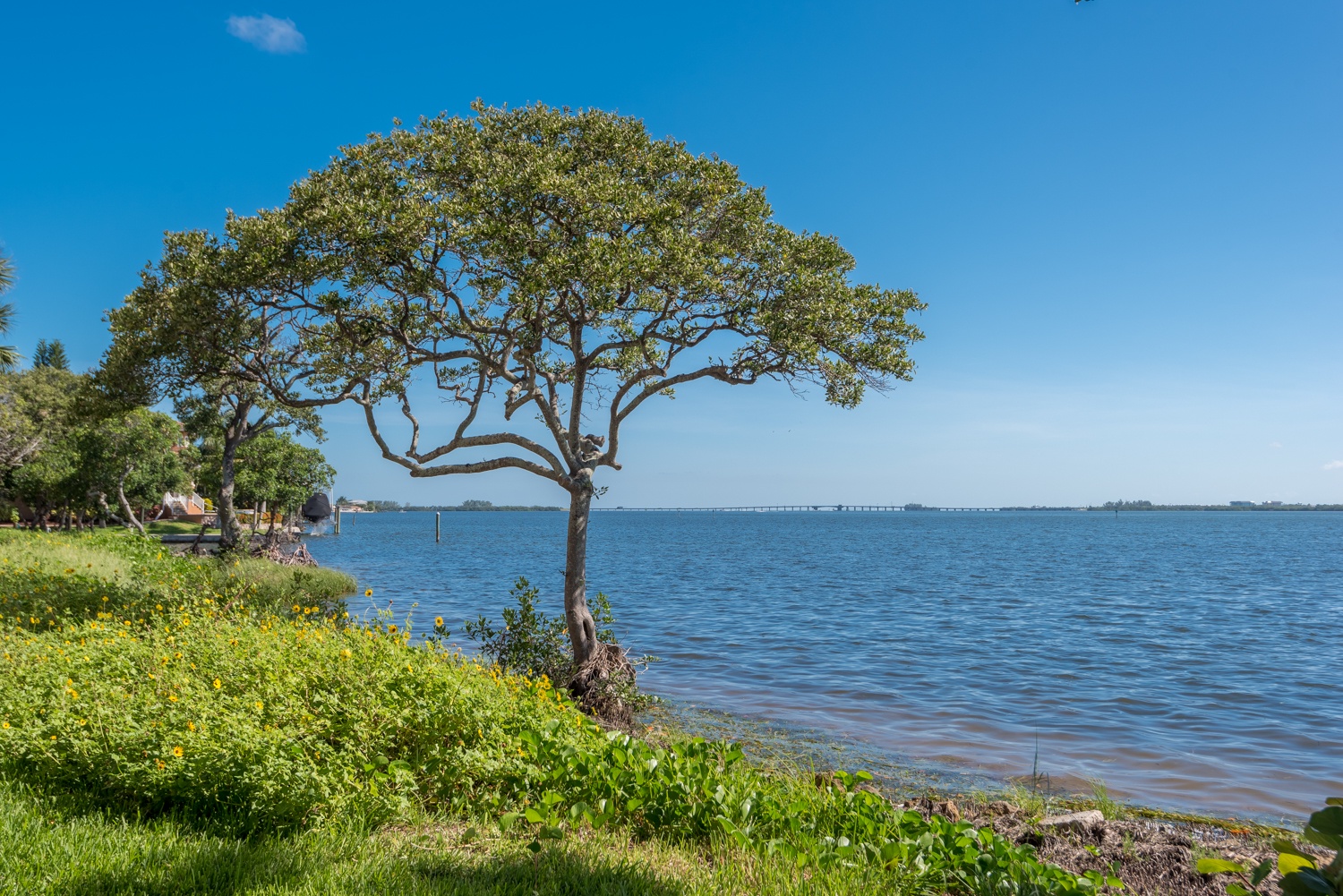 Gorgeous Water Views