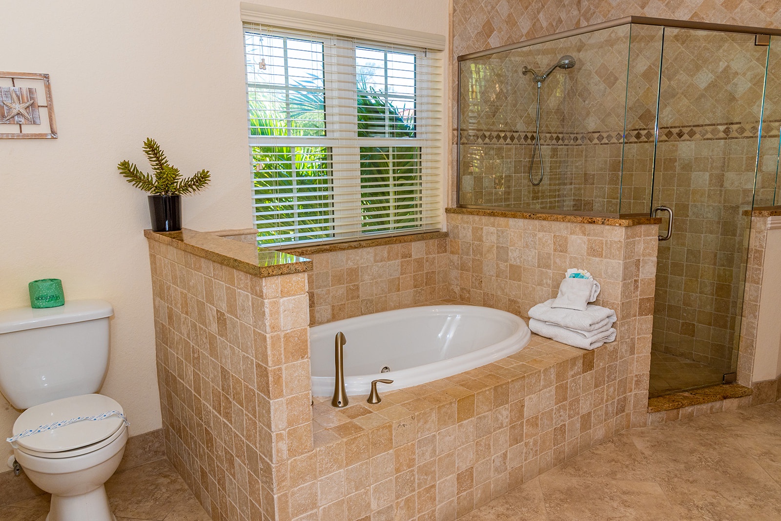 Main floor Master tub and Walk in shower