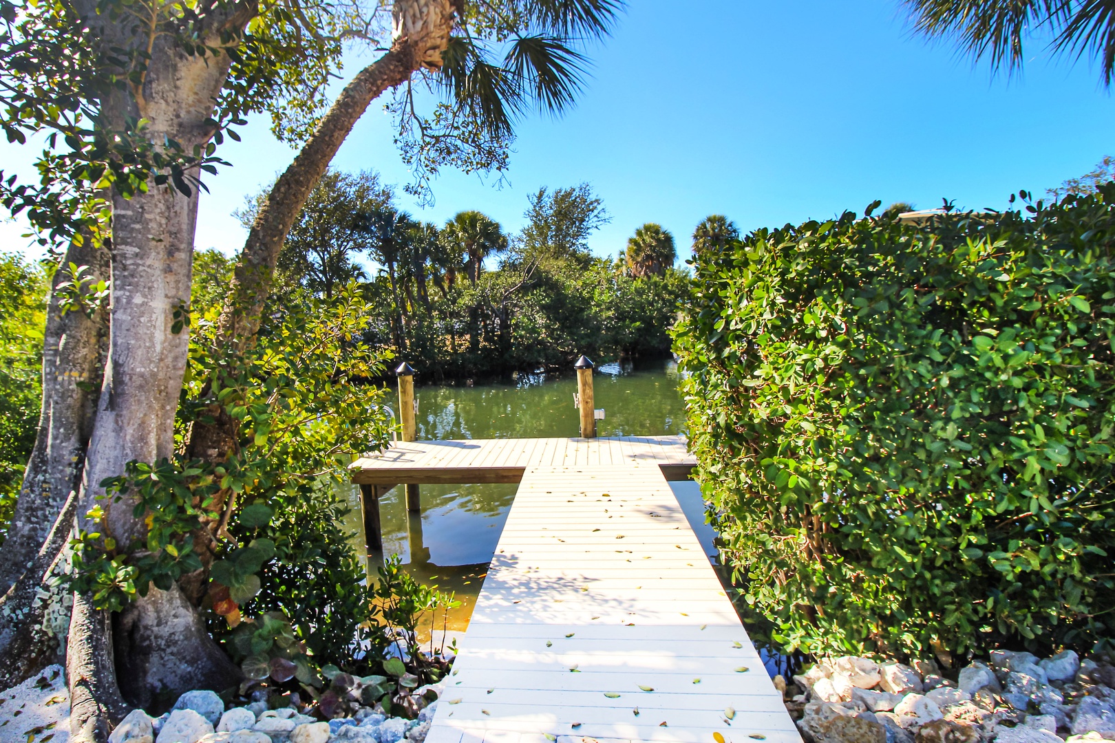 Dockside Paradise - AMI Locals