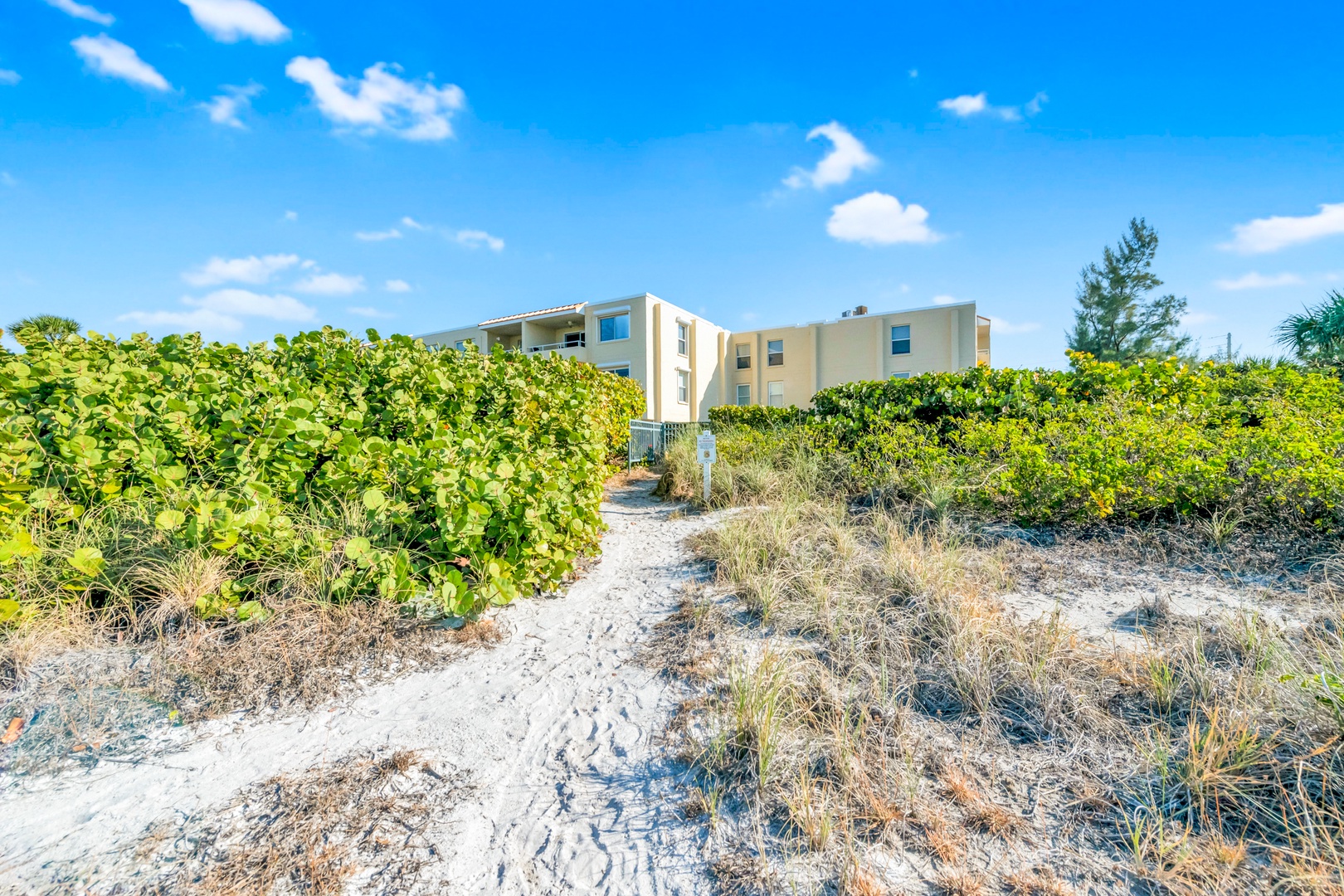 Beachfront Condominium