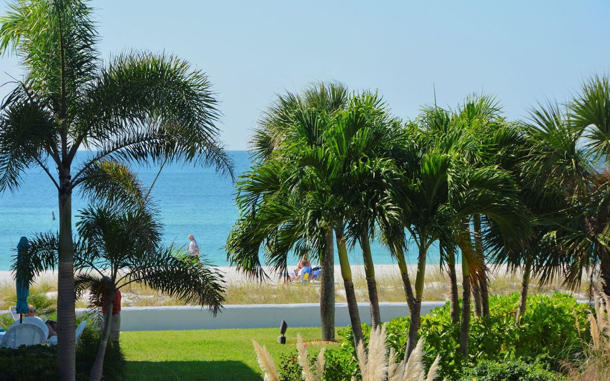 Beach Front Condominium