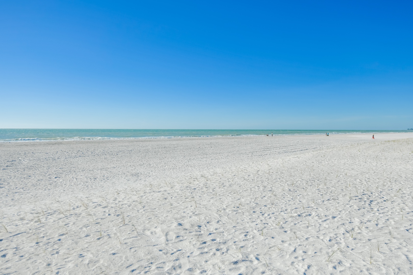 Beach View