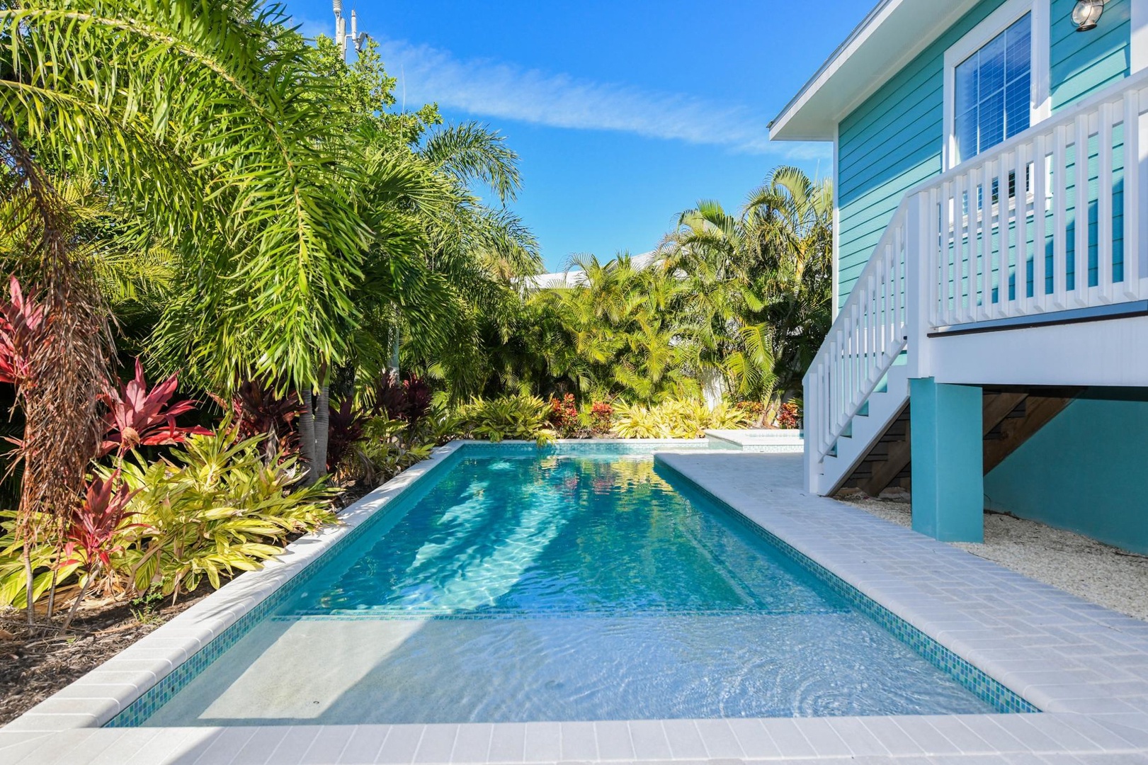 Pool, Beachy Keen - AMI Locals