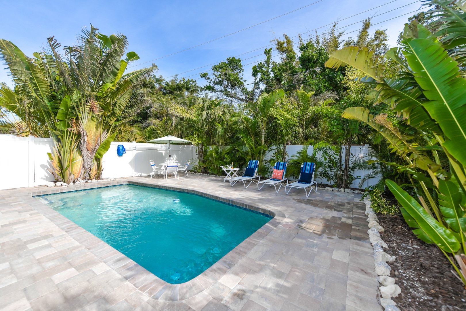 Large Pool Deck and Loungers