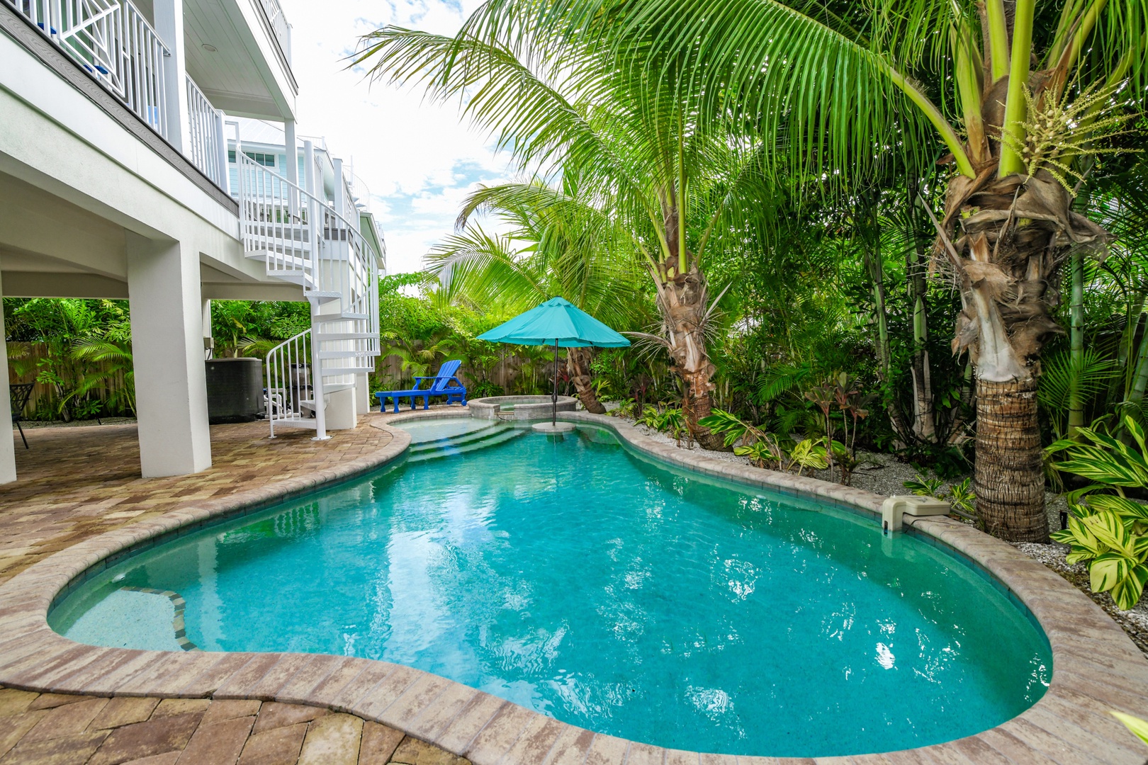 Pool and Spa, Montego Bay - AMI Locals