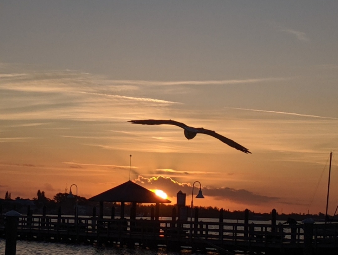 Bayside Bliss- Anna Maria Vacations