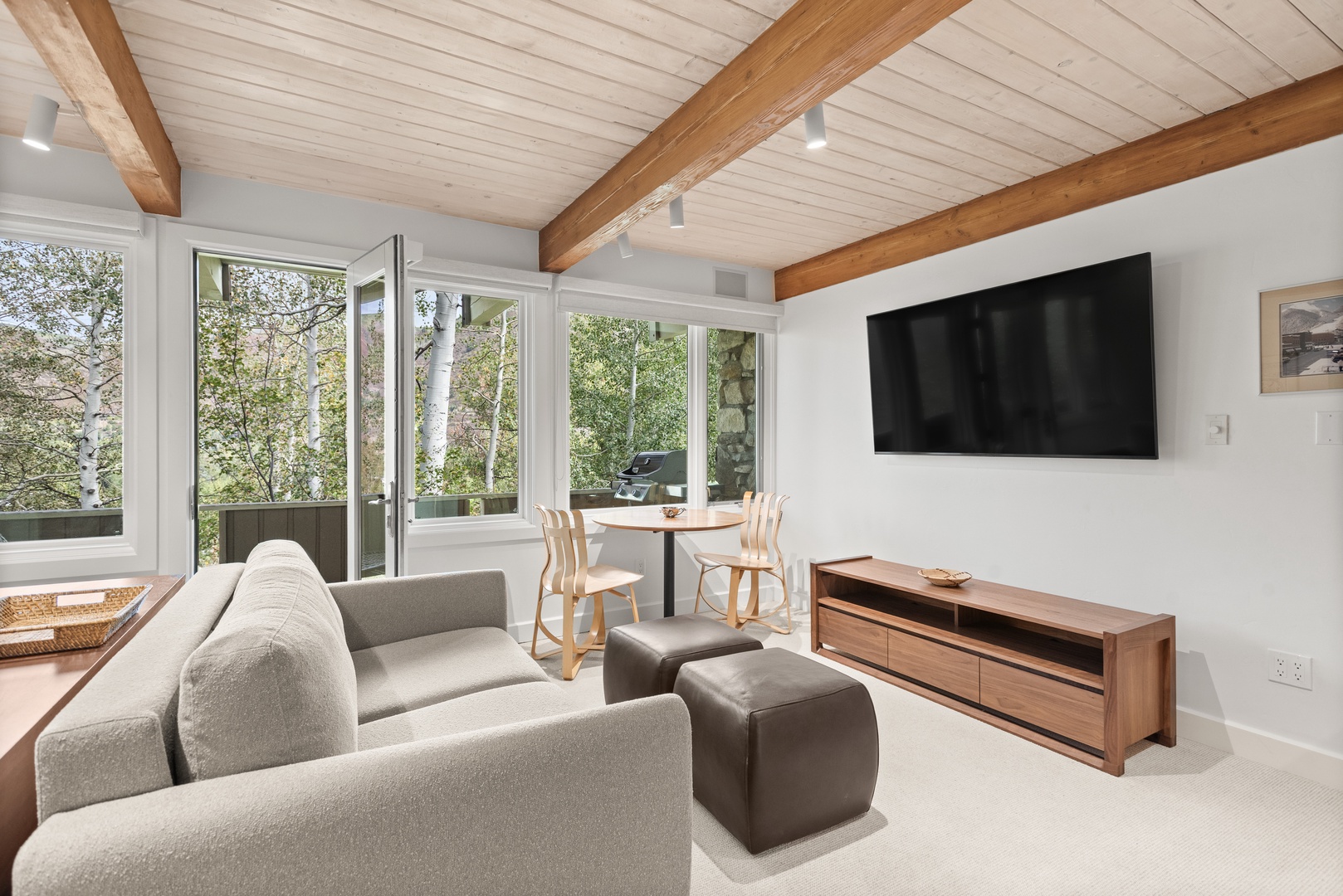 Living Room Area