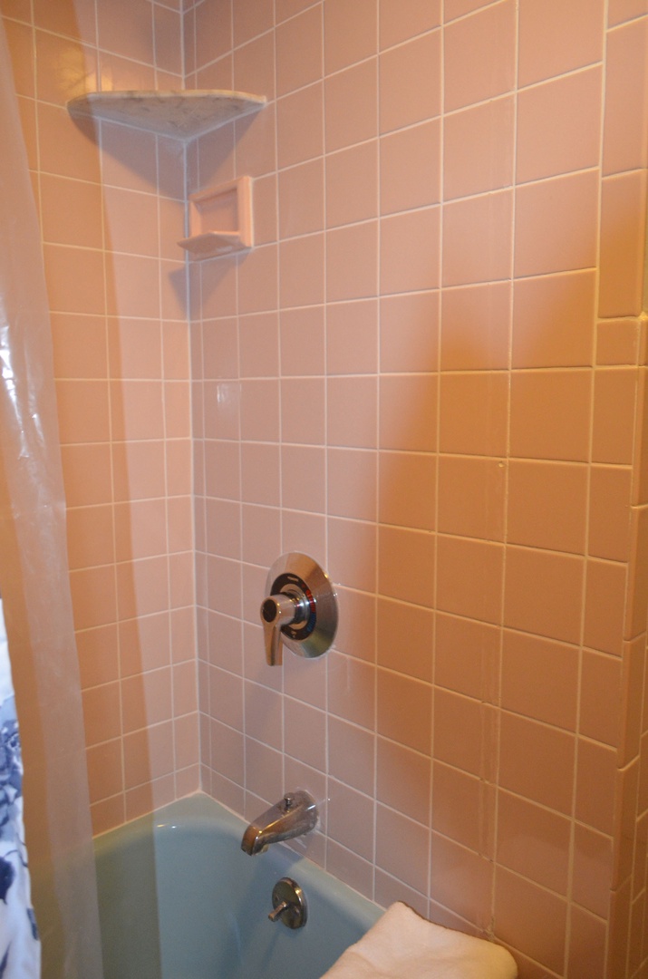 The tiled shower and full-sized tub.