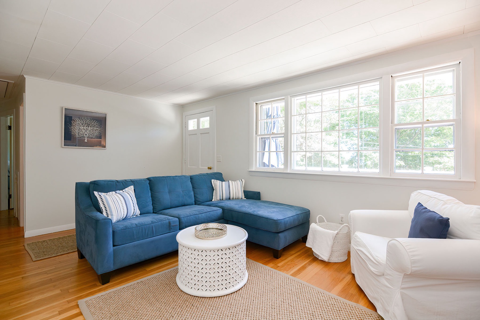 Bright and comfortable living room.