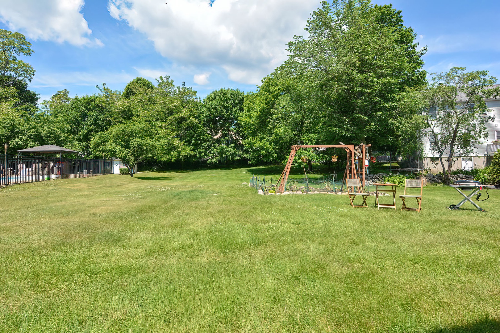 The grassy and lush back yard.