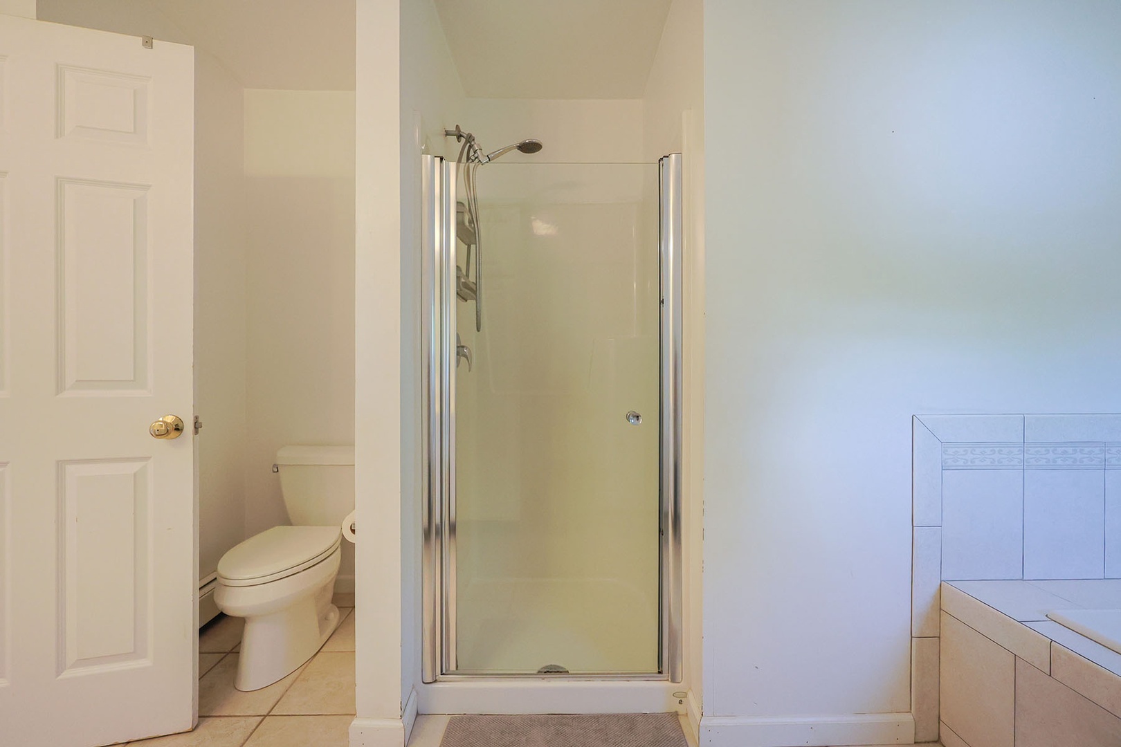 Primary bath - walk-in shower
