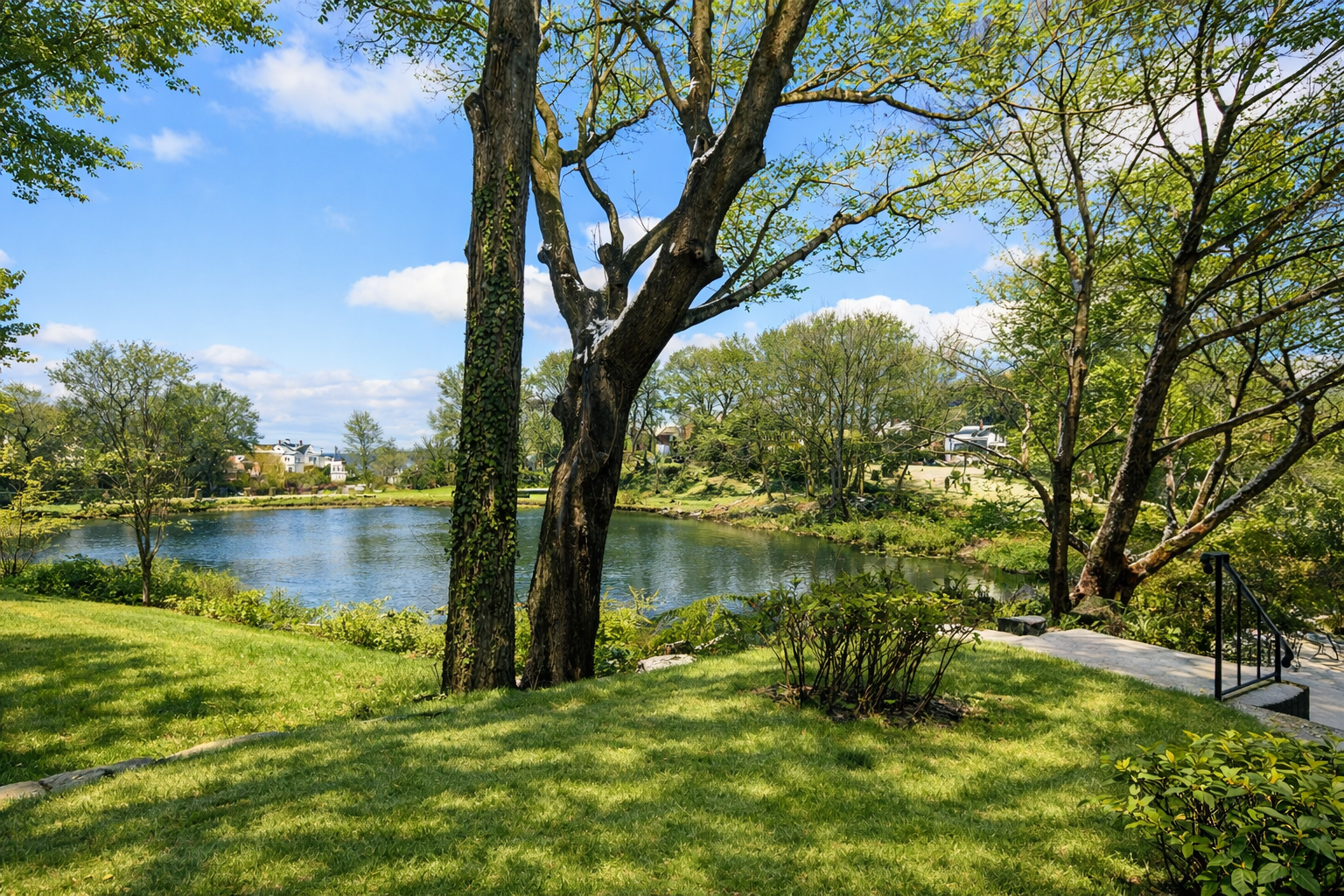 Overlooking Mill Pond Park.