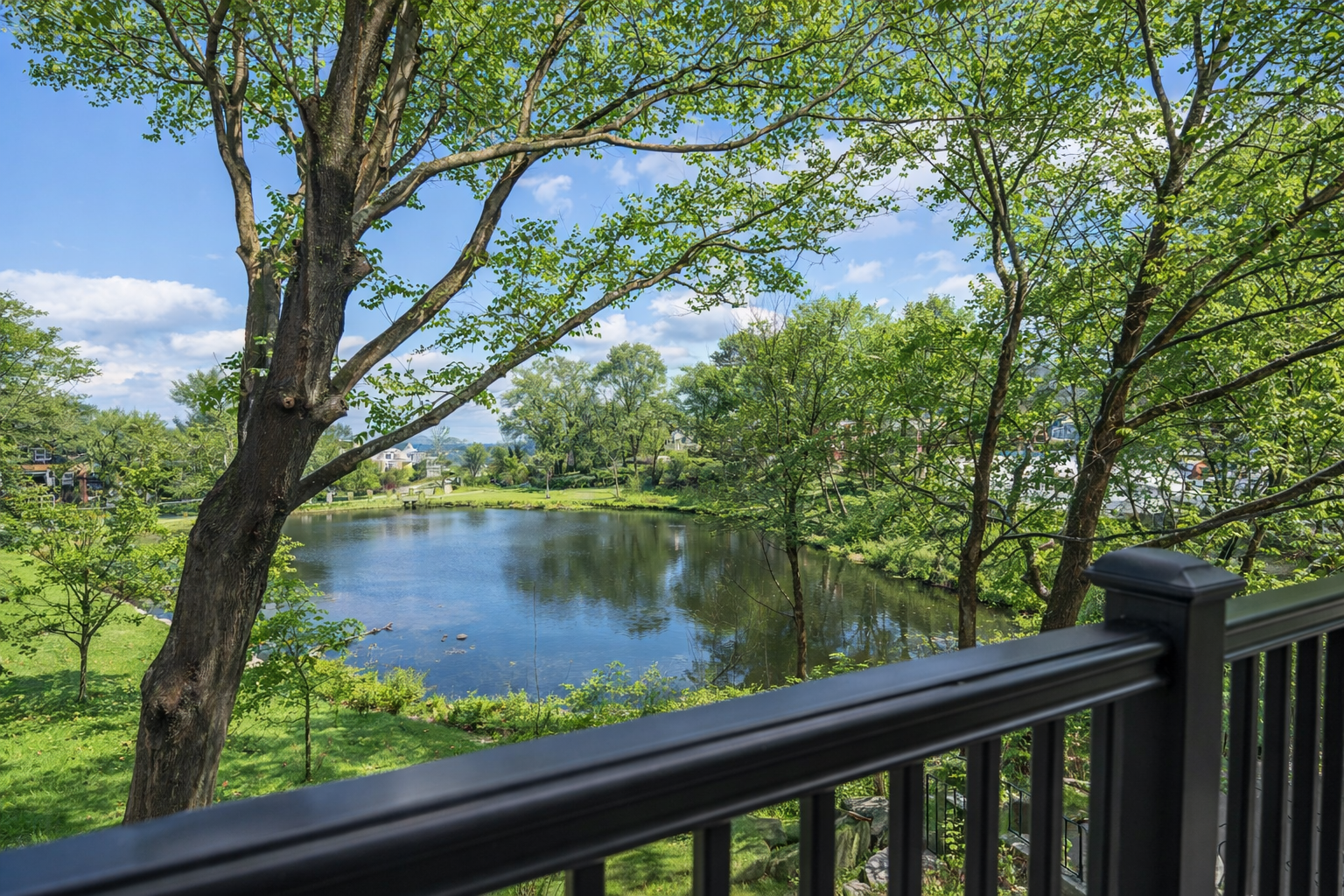 Deck overlooking Mill Pond Park.