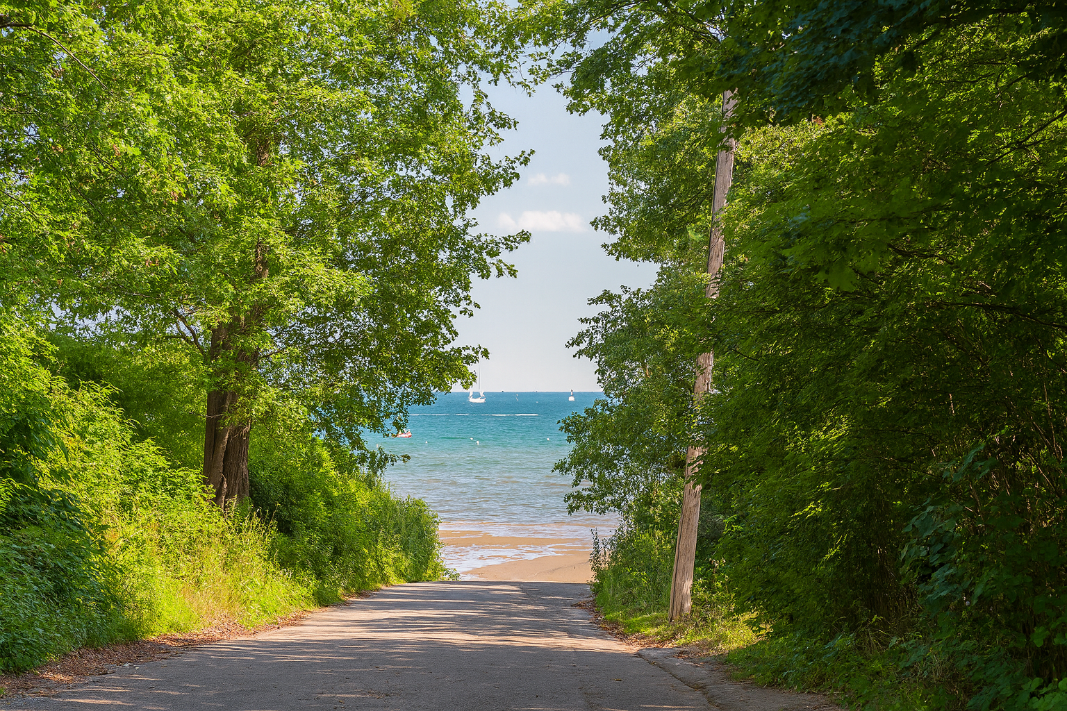 Brackenbury beach is just steps away from the house.