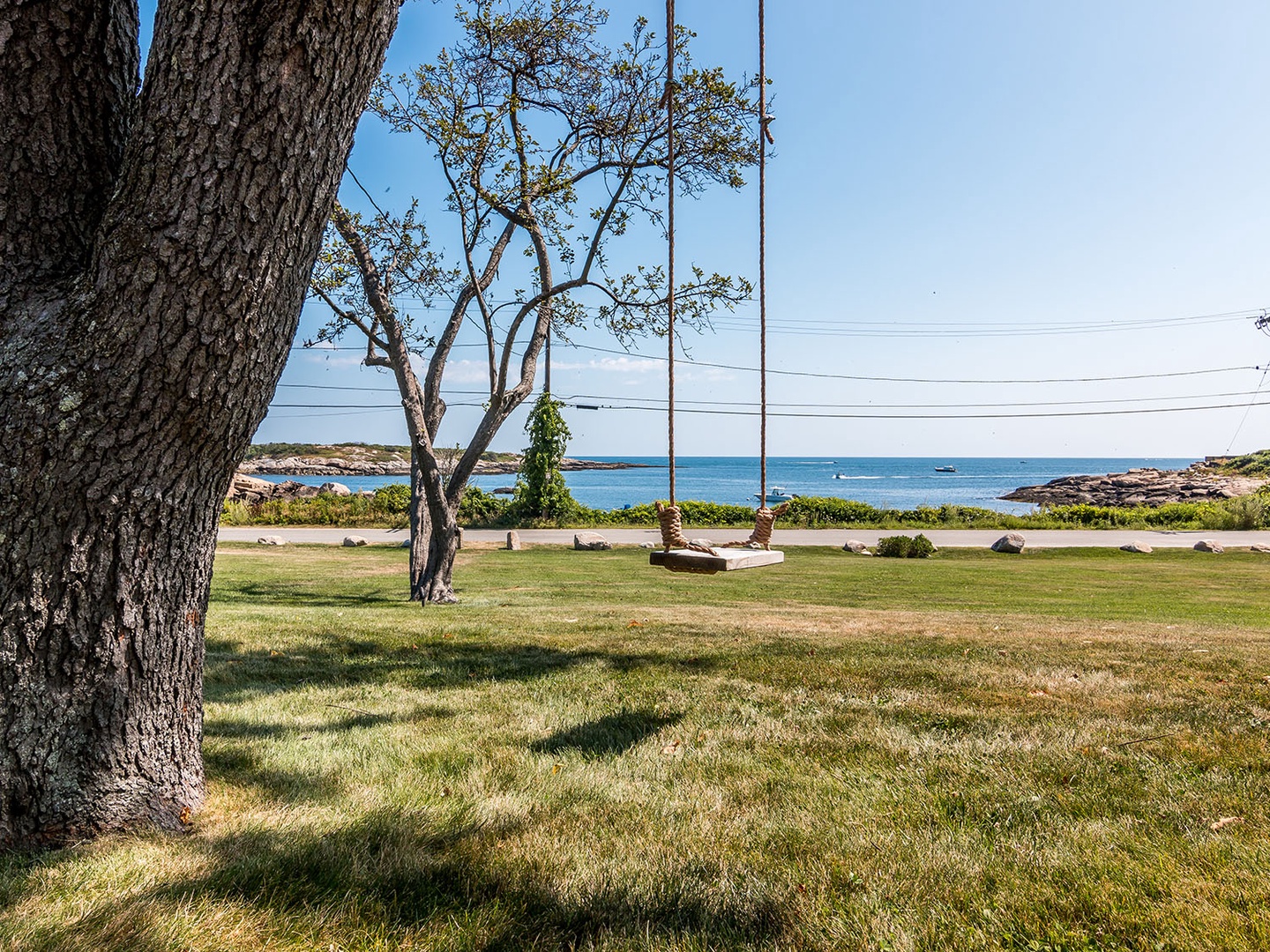 A tree swing graces the front yard.