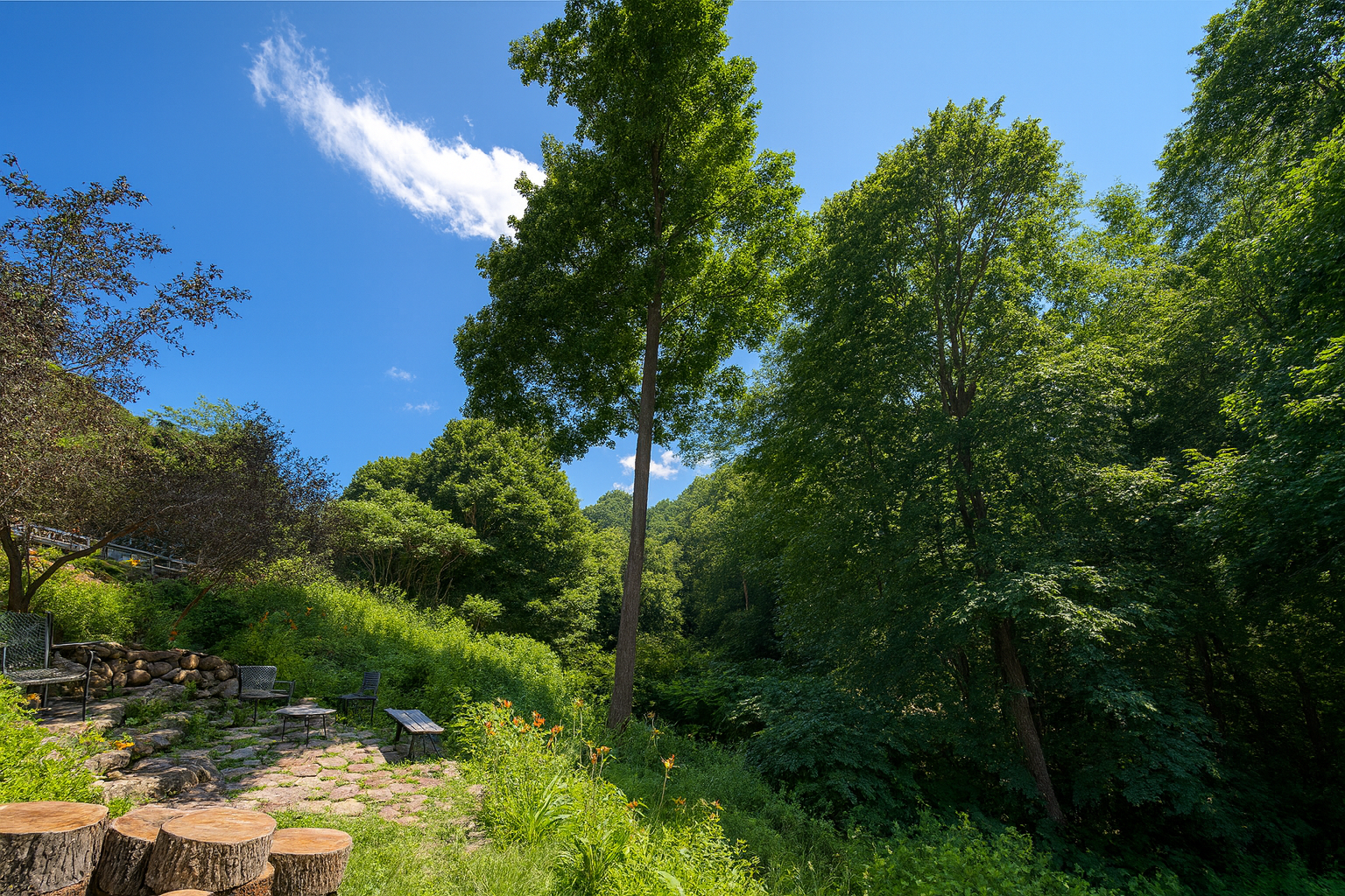 The beautiful garden and the surrounding lush greenary.